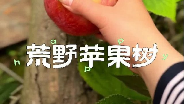 我的苹果树被人偷了