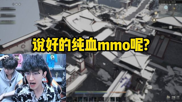 说好的纯血mmo呢？