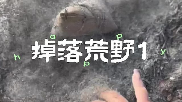 掉落到一片烧焦的荒野