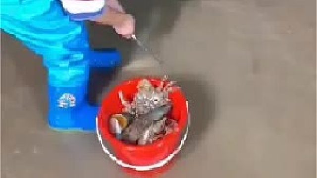 赶海赶海赶海啦