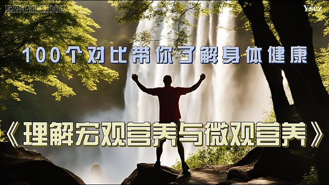 宏观营养素 vs 微观营养素：健康饮食背后的营养秘密