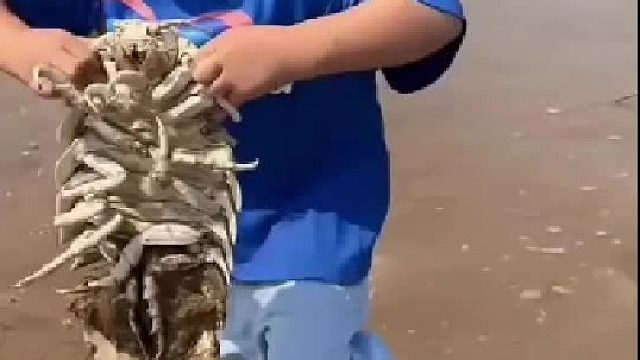 赶海赶海赶海啦