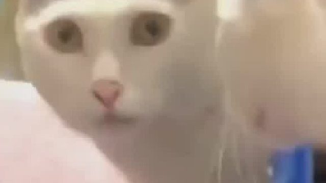 你真的知道应该如何正确吃胶囊吗？     