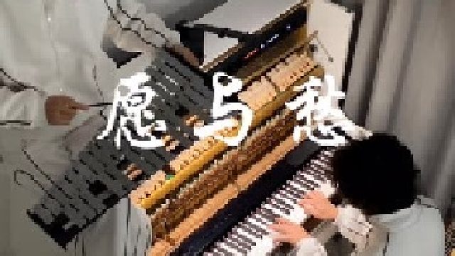 当我双胞胎弟在敲钢片琴 敲得跟屎一样 哥哥我直接现场教学