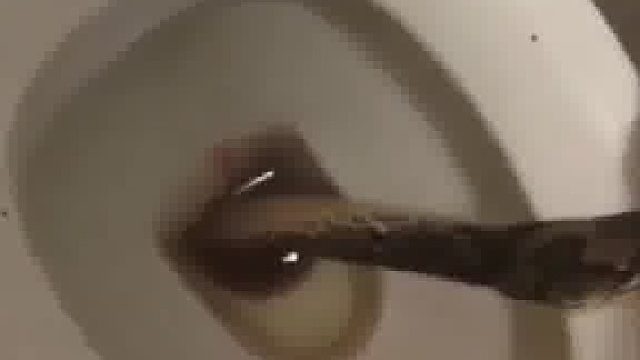 被咬了一口，皮友们帮忙看看有毒不…