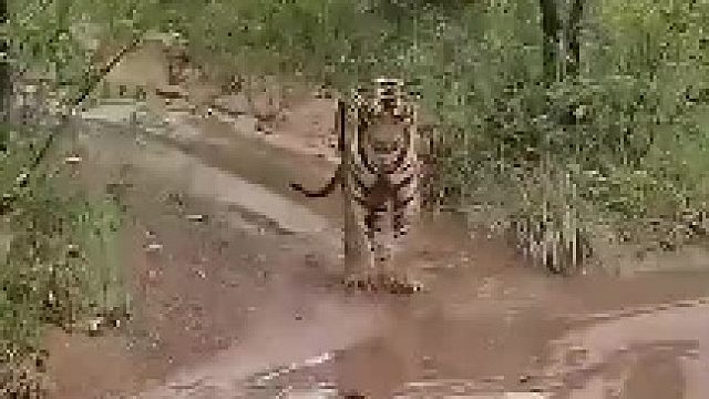 这东西又不顶饱被咬了不划算