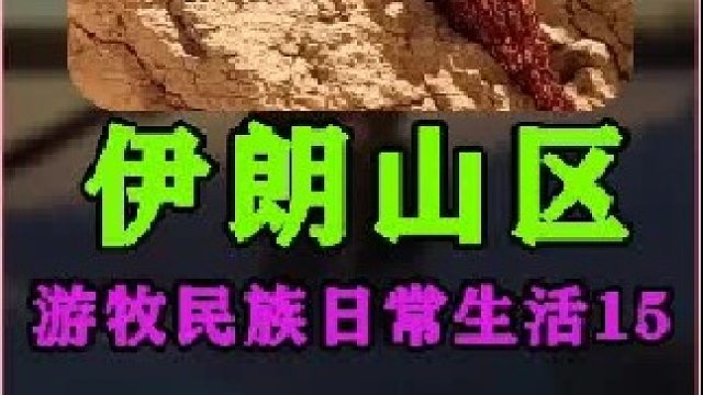 伊朗游牧民族日常生活采集积雪  (5)