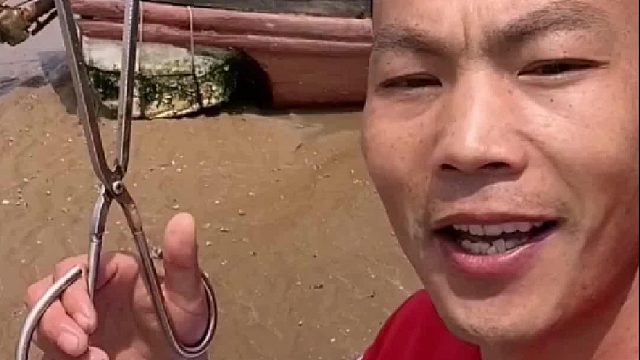 户外赶海抓海鲜