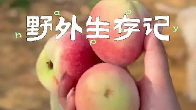 大事不好了，我们的家没了