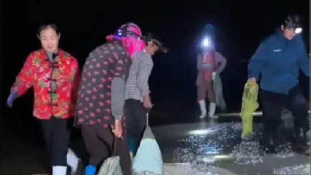 户外赶海抓海鲜