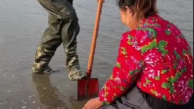 赶海赶海赶海啦