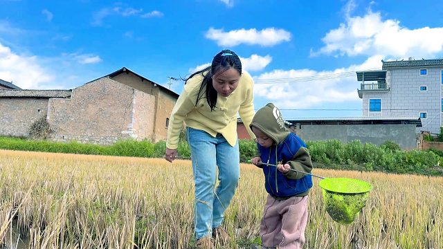 农村母子稻田抓鱼，越看越感觉不对劲，抓到的竟然不是鱼