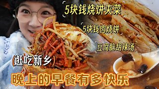 【逛吃新鄉(xiāng)】5塊錢的燒餅夾菜和肉火燒太狂了！雞汁豆腐腦仙品！