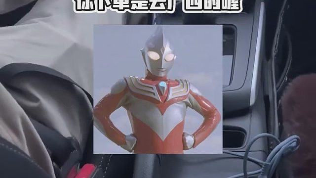 给司机整无语了