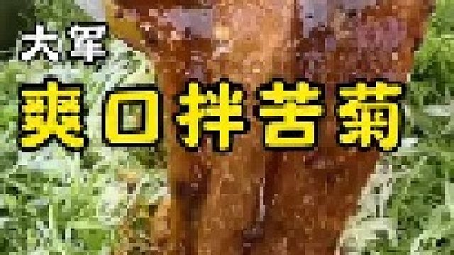 一道爽口小凉菜“凉拌苦菊”