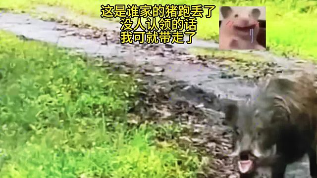 好担心孩子会不合群，要不要把她打醒？急，在线等