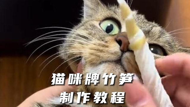 猫咪牌竹笋制作教程，有点恶心但想看