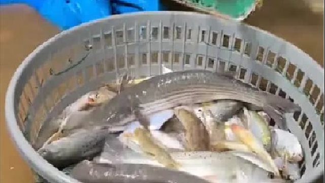 带你去体验渔民的生活