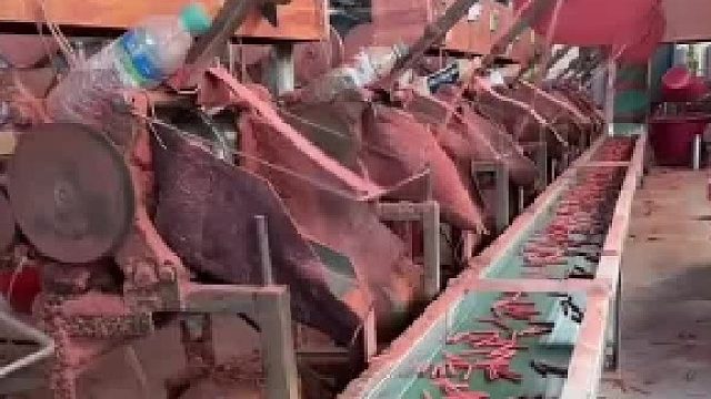 生产速度提高了，质量下降了，钱都让他们赚了