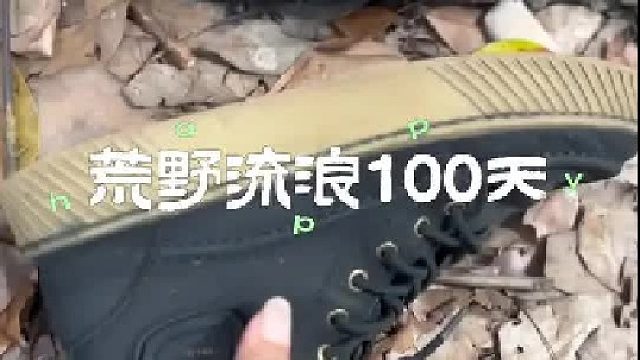 冬天是一只称职的小狗狗