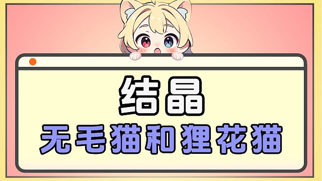 无毛和狸花的结晶，头一次对猫没有摸的欲望