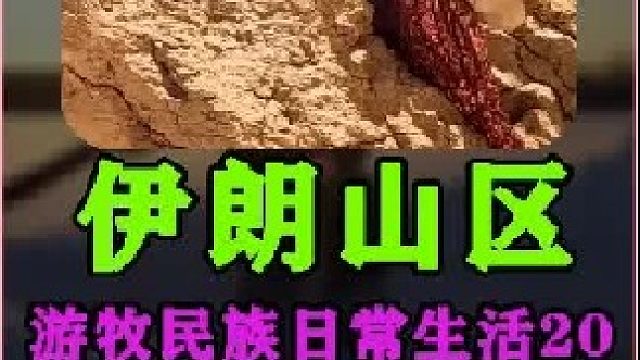 伊朗游牧民族妇女日常生活  (3)