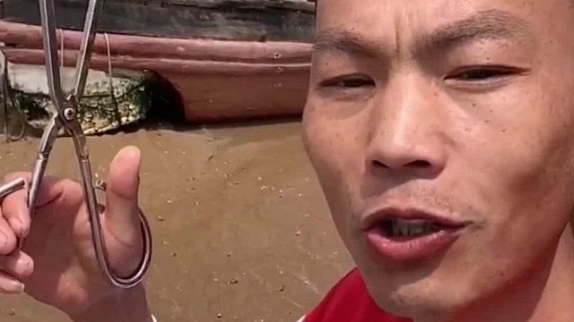 户外赶海抓海鲜