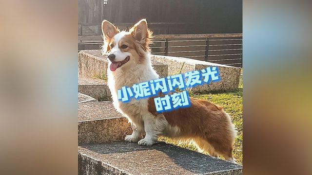 小妮：哇！好漂亮啊