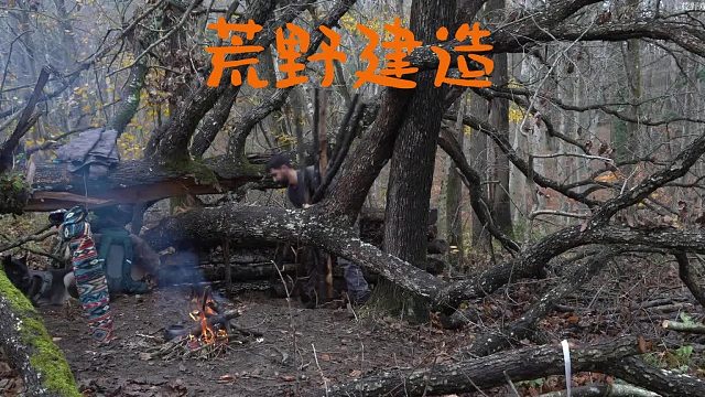 地下精灵的小屋照进了现实