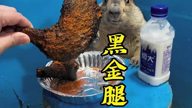 乌漆嘛黑的炸鸡腿没吃过吧！