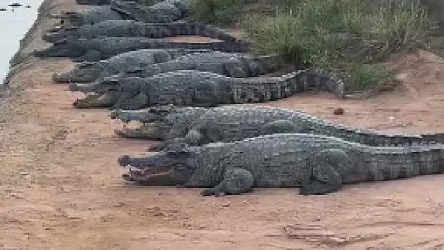 大小姐驾到，通通闪开