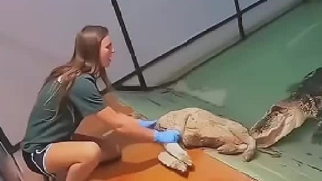 我反方向转可以拧下鳄鱼头吗？