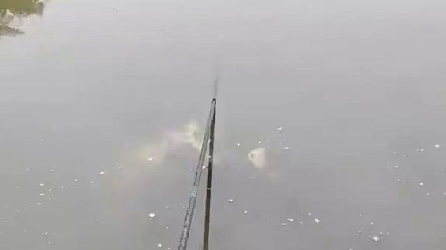 不是，这什么意思