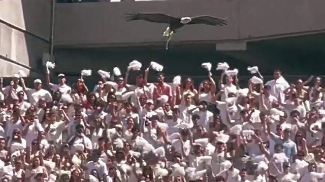 感受到热血青春的咆哮了吗