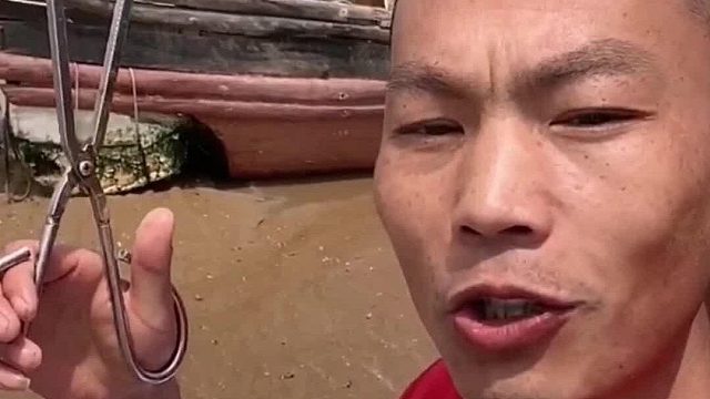 户外赶海抓海鲜