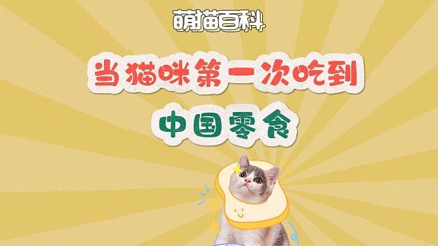 当猫咪第一次吃到中国零食，馋得直流口水