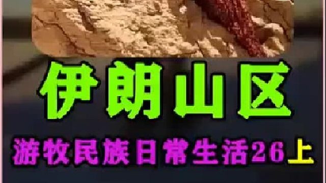 伊朗游牧民族 日常生活 上山采集野果上集  (1)