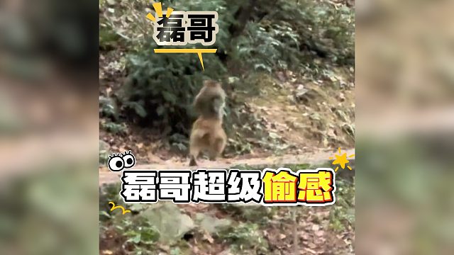 起猛了，斗地主还能真么偷感十足？