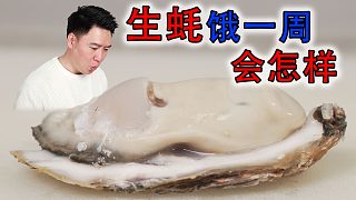 餓了一周的生蠔打開之后居然是這樣？