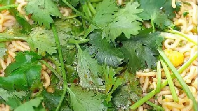 今天都是配菜啊！你们会选哪个呢？