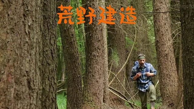 这是我见过最好的庇护所