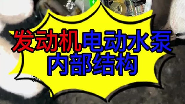 汽车发动机电动水泵内部结构 汽车发动机电动水泵内部结构？