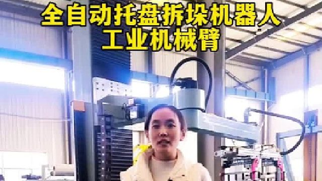 全自动托盘拆垛机器人工业机械臂