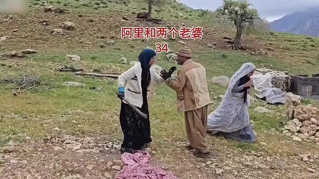 阿里的快乐生活