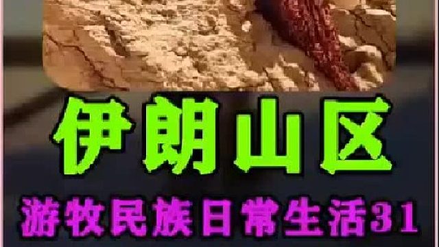 伊朗游牧民族日常生活 农村牧民婚礼