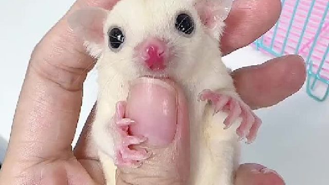 纯白妹妹出发滁州了，蜜生幸福