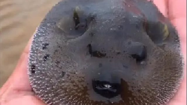 赶海赶海赶海啦