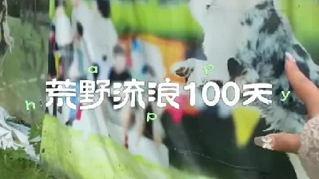 找到坏人伪装的狗狗学校