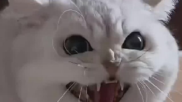 是谁又反向减肥了