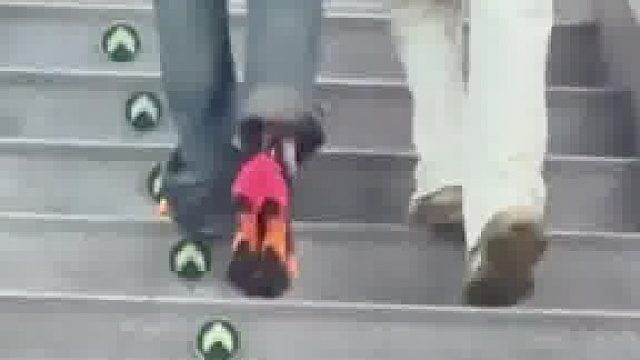 非不听我的，非要穿这个鞋陪他对象逛街，这下挨骂了吧，逛街不成了吧！走不了路了吧！